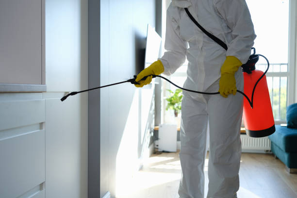 Best Mold Odor Removal Services  in Plainfield, NJ